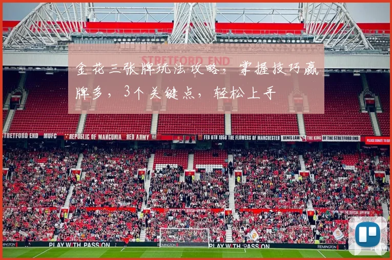 金花三张牌玩法攻略，掌握技巧赢牌多，3个关键点，轻松上手