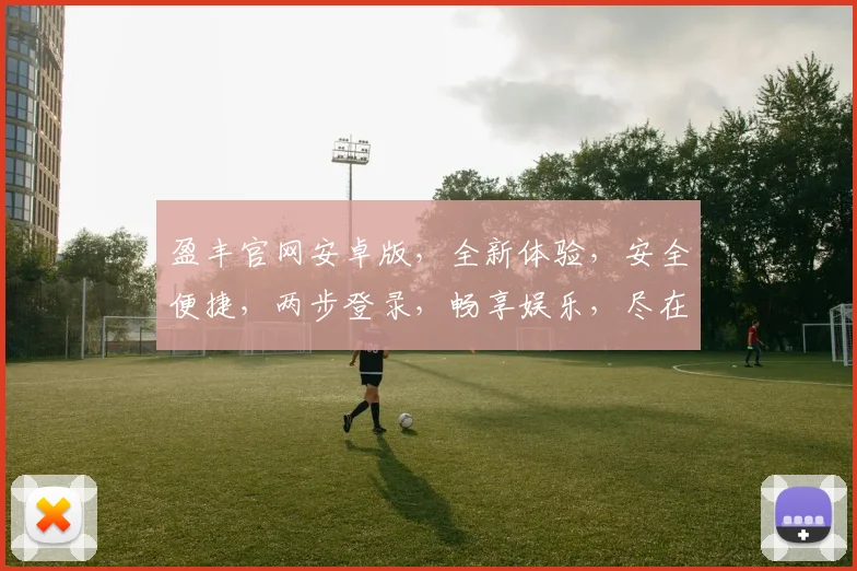盈丰官网安卓版，全新体验，安全便捷，两步登录，畅享娱乐，尽在盈丰官网安卓版