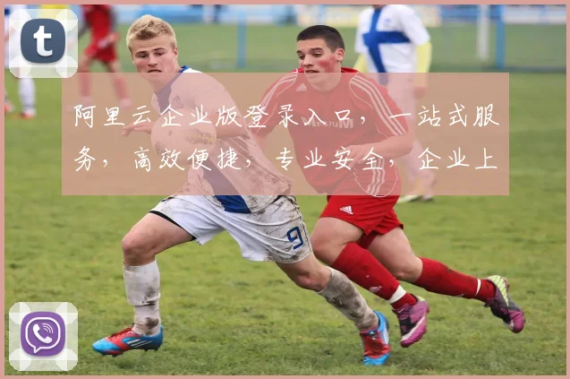 阿里云企业版登录入口，一站式服务，高效便捷，专业安全，企业上云首选，体验即知