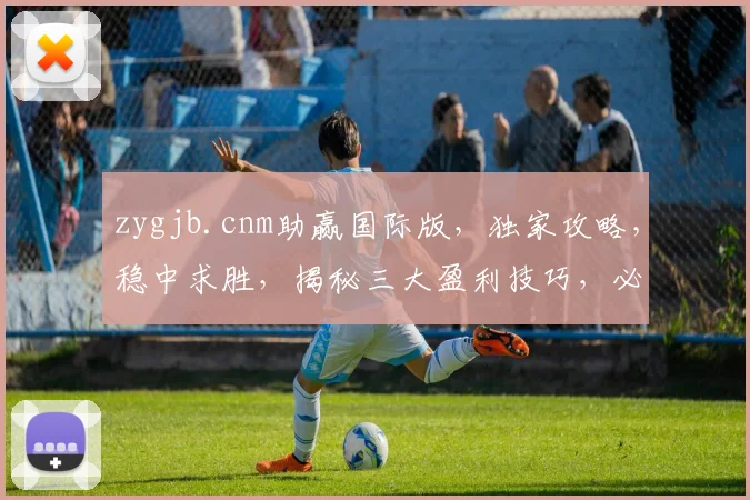 zygjb.cnm助赢国际版，独家攻略，稳中求胜，揭秘三大盈利技巧，必看